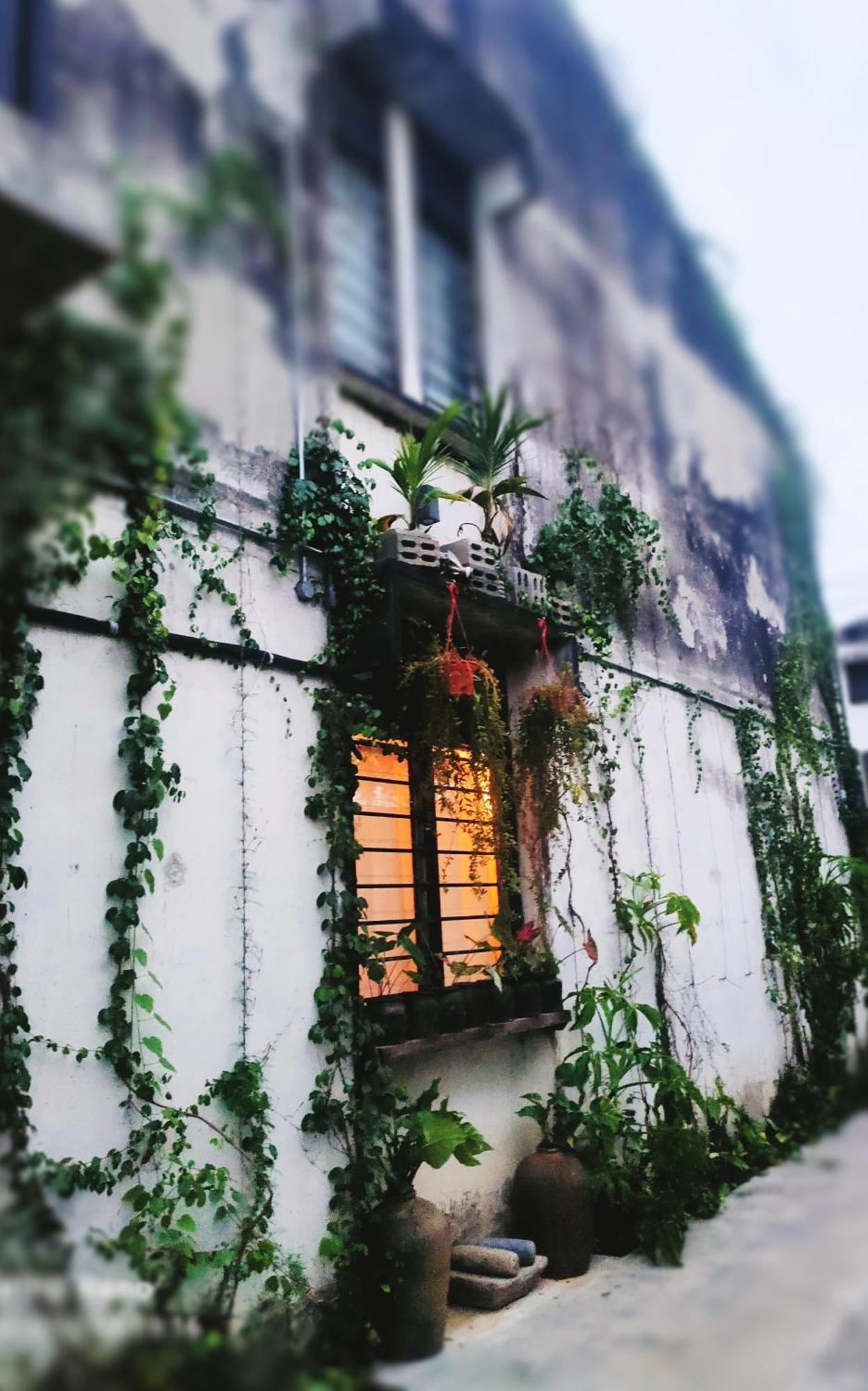 Ipoh Concrete Villa Cameră foto