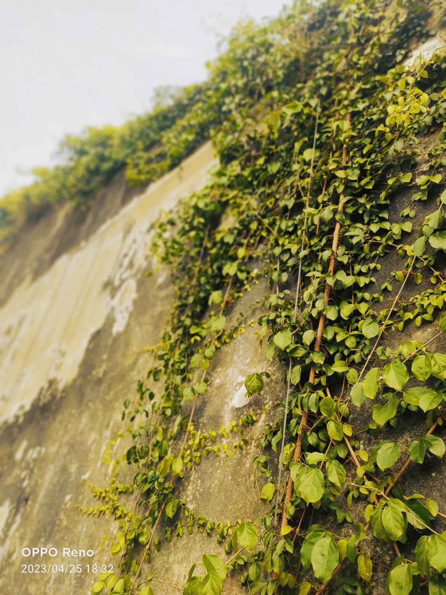 Ipoh Concrete Villa Cameră foto